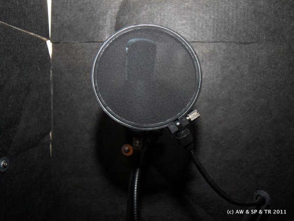 Mic